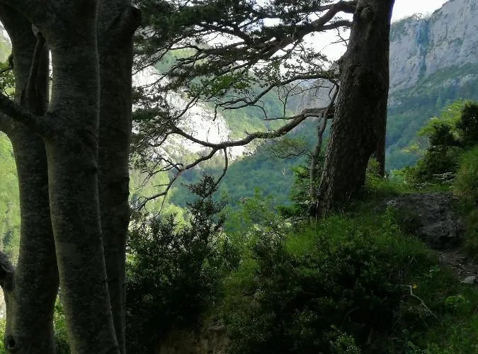 Appartamento Casa Paloma Ansó